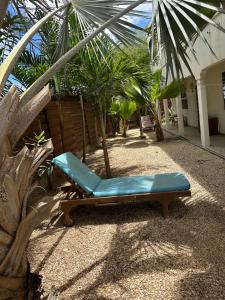 einen Sessel in einem Garten mit Palmen in der Unterkunft Studio - begane grond - poolside in Kralendijk