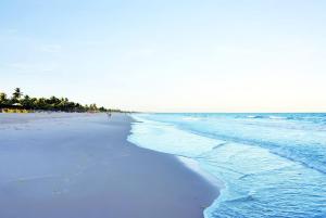 a beach with blue water and palm trees on it at Praia de Guaibim - Casa de praia 2Q - 2 suítes com ar - em condomínio a 300m da praia in Guaibim