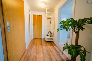 einen Flur mit Tür und Topfpflanze in der Unterkunft STYLE-Apartment I Klimaanlage I WLAN I Küche I Smart-TV in Magdeburg
