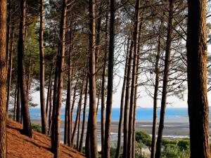 Zdjęcie z galerii obiektu Charmant Studio Cabine avec Grande Terrasse et Proximité Plage à Arcachon - FR-1-420-125 w Arcachon