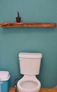 a bathroom with a toilet with a wooden shelf on the wall at Cocuyo Glamping in San Agustín Etla