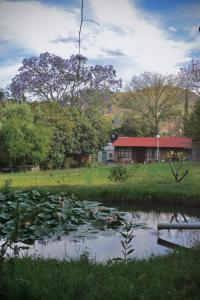 a pond with a red building in the background at Cocuyo Glamping in San Agustín Etla