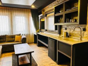 安卡拉的住宿－GOLDEN ROCK HOUSE，厨房以及带水槽和沙发的客厅。