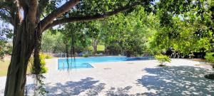a swimming pool with a tree in the foreground at Vintara Eco Resort in Hambantota