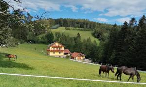 Lembach的住宿－Ferienhaus Kitting，三匹马在房子前面的田野上放牧