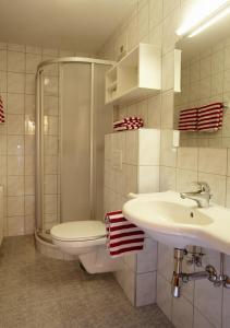 e bagno con lavandino, servizi igienici e doccia. di Moosbauerhof a Bad Kleinkirchheim
