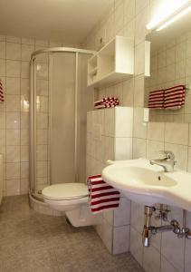 a bathroom with a sink and a toilet and a shower at Moosbauerhof in Bad Kleinkirchheim