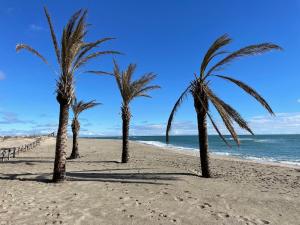 una fila de palmeras en una playa de arena en Appartement vue mer en Le Barcarès