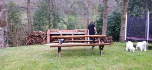 a man standing next to a bench with two sheep at Apartamentos la casa de los ríos in Liérganes