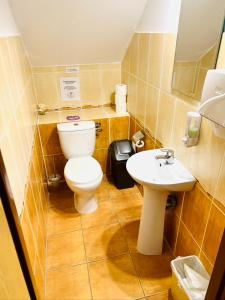 La salle de bains est pourvue de toilettes et d'un lavabo. dans l'établissement Hostel Pod Gromadzyniem, à Ustrzyki Dolne