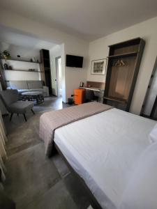 ペスキエーラ・デル・ガルダにあるVia Goito 25 Rooms & Apartmentのベッドルーム(大型ベッド1台付)、リビングルームが備わります。