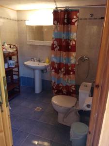La salle de bains est pourvue de toilettes et d'un lavabo. dans l'établissement Villa in Skiathos, à Kechria