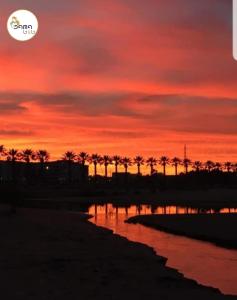 einen Sonnenuntergang am Strand mit Palmen im Hintergrund in der Unterkunft B&B Dama3 in Barletta