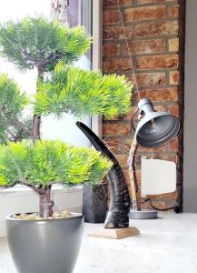 a lamp and a pine tree on a table at Modern Apartment Bedburg-Hau in Bedburg Hau