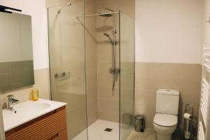 a bathroom with a shower and a toilet and a sink at Apartamento Rosellas, cerca de Alquézar, en Sierra de Guara in Adahuesca