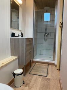 een badkamer met een douche en een wastafel bij Chambres dhotes a la ferme in Forest-Montiers