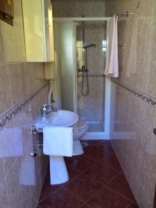 La salle de bains est pourvue d'un lavabo, de toilettes et d'une douche. dans l'établissement Apartment Bertossin Rovini, à Mošćenička Draga