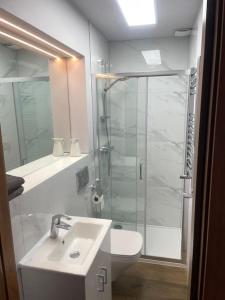 a bathroom with a shower and a sink and a toilet at Cosy studio flat in Muswell Hill in London