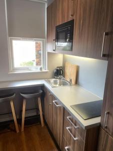 a small kitchen with a sink and a counter at Cosy studio flat in Muswell Hill in London