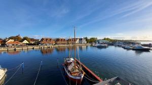 a group of boats are docked in a harbor at Ferienwohnung Hafenblick in Wiek auf Rügen 