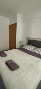 Ein Bett oder Betten in einem Zimmer der Unterkunft Apartamento NAVI II playa de Gandia para 6 personas