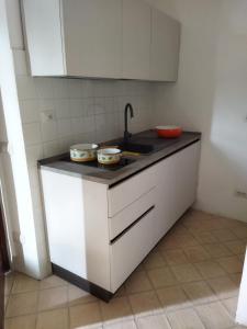 una cocina con fregadero y 2 tazones en una encimera en Flat - Casale Angela en Bolsena
