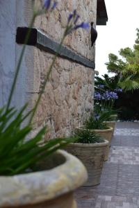 A garden outside Villa Musa with private pool