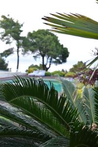 The swimming pool at or close to Villa Musa with private pool