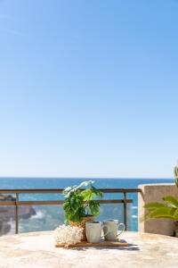 薩洛的住宿－Mediterranean Way - El Mirador，一张桌子,上面有两杯,上面有植物