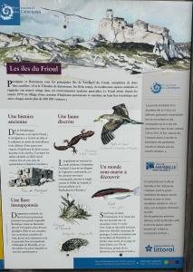 Fotografia z galérie ubytovania île du Frioul, la daurade du Frioul, marseille v destinácii Marseille
