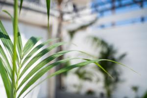 Fotografie z fotogalerie ubytování Villa Eunomia v destinaci Gennadi