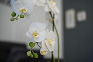 Fotografie z fotogalerie ubytování Villa Eunomia v destinaci Gennadi