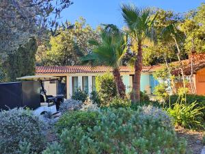 a house with a palm tree in a garden at Camping la Croix du Sud in Saint-Tropez