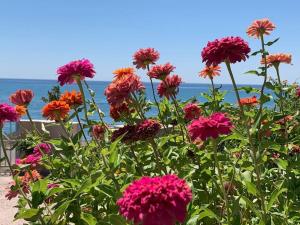 a field of flowers with the ocean in the background at Elda Strandhaus in Keratokampos