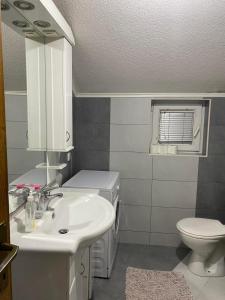 a bathroom with a sink and a toilet at Apartman Jaca in Mrčevac