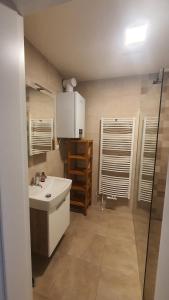 a small bathroom with a sink and a shower at Apartmány Semily in Semily