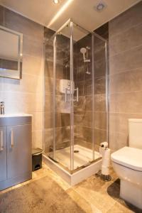 uma casa de banho com um chuveiro e um WC. em Central Dublin Apartment em Dublin