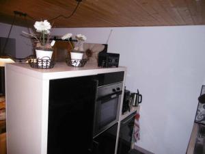Kuchyň nebo kuchyňský kout v ubytování Mühlenwörth Relax Quartier