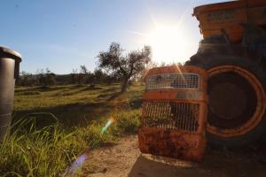 a truck parked in a field with the sun behind it at Agricampeggio La Piaggia - Agriturismo in Piombino