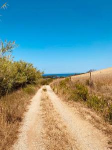 a dirt road in the middle of a field at Agricampeggio La Piaggia - Agriturismo in Piombino