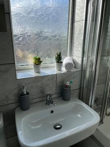 um lavatório de casa de banho com uma janela e vasos de plantas sobre ele em Modern 4-bed house with garden & parking em Walsgrave on Sowe