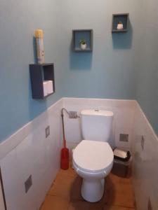 ein Bad mit einem weißen WC in einem Zimmer in der Unterkunft Gite près du Chat'O in Fresnicourt-le-Dolmen