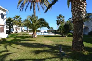 einen Garten mit Palmen und einem Pool in der Unterkunft Nueva Playa C2 in Denia