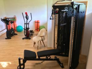 Fitness centrum a/nebo fitness zařízení v ubytování 5 Sterne FeWo Allgäuer Alm mit Schwimmbad und Sauna + 8 fotografií