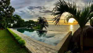 - une piscine à côté de l'eau avec un palmier dans l'établissement VERONIKA Resort Nosy Komba, à Nosy Komba