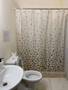 ein Bad mit einem WC und einem Duschvorhang in der Unterkunft Central house with beautiful garden in Amman