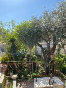a garden with palm trees and a table and a fence at Central house with beautiful garden in Amman