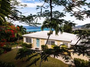 a white house with a palm tree at CARIBBEAN SPLENDOR WITH MILLION DOLLAR VIEWS in Christiansted +14 photos