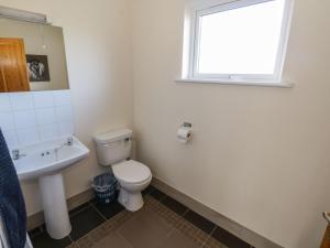 a bathroom with a toilet and a sink and a window at Ring Fort Cottage in Longford