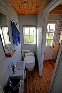 a small bathroom with a toilet and a sink at Tiny House on isolated farm by the Cornish Coast in Bude